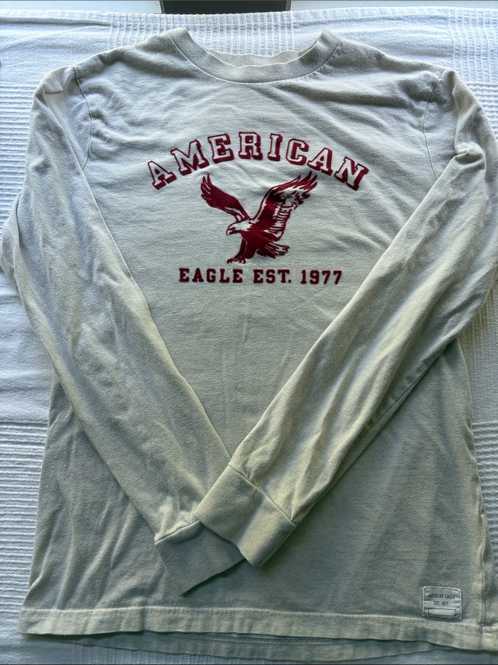 American Eagle Outfitters Long Sleeve Tee in Light Green with Red Graphic